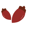 Acorn-Clip Art ｜ Illustration ｜ Free Material