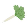 Radish --Clip Art ｜ Illustration ｜ Free Material