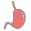 Stomach --Clip Art ｜ Illustration ｜ Free Material