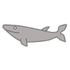 Sharks | Fish-Clip Art | Illustrations | Free Material